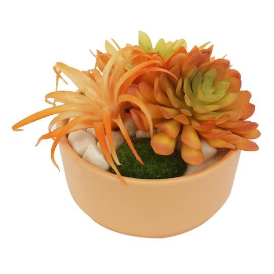 5.5&#x22; Succulent Mix in Coral Ceramic Pot by Ashland&#xAE;